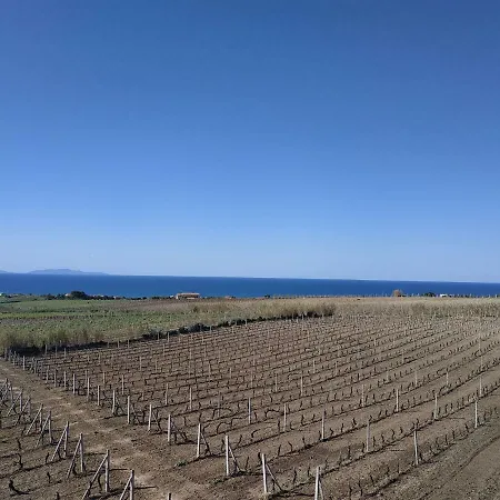 Villa Nel Vigneto Sardegna Nord Ovest