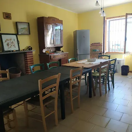 Nel Vigneto Sardegna Nord Ovest *